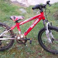 Bicicletta Bertaso 20"