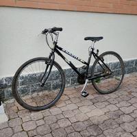 Mountain Bike Kastle vintage