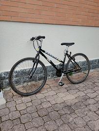 Mountain Bike Kastle vintage