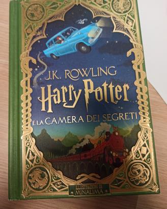 Harry Potter camera segreti MINALIMA