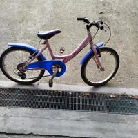 bicicletta 