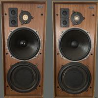 CELESTION DITTON 25