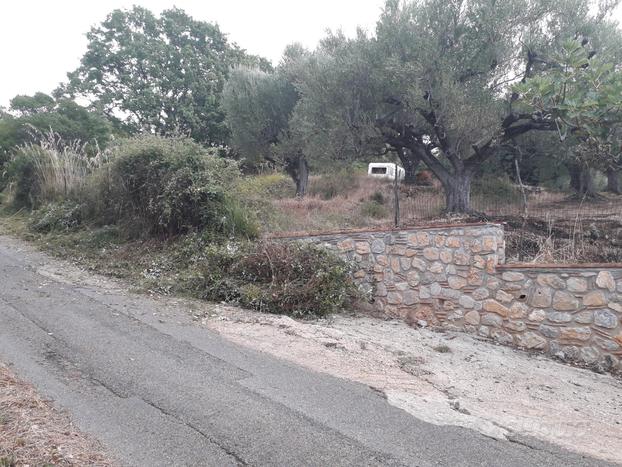 Terreno a marina di camerota