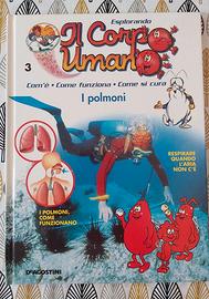 Esplorando il corpo umano - i polmoni