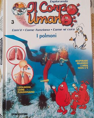 Esplorando il corpo umano - i polmoni