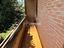 Immagine 16