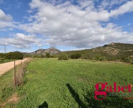 Terreno Agricolo Olbia [Cod. rif 3173023VCG]