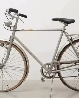 Bici da corsa vintage 