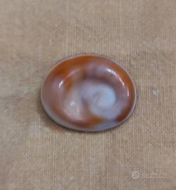 Occhio di Santa Lucia 