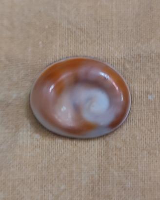 Occhio di Santa Lucia 