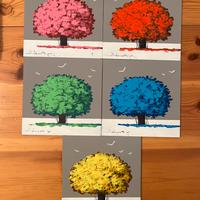 Albero Giò Mondelli