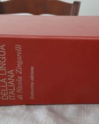 Vocabolario lingua italiana 