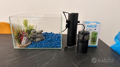 Acquario 12 litri