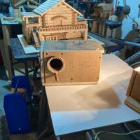 Casette uccelli/pappagalli