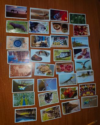 lotto completo carte Despar 
