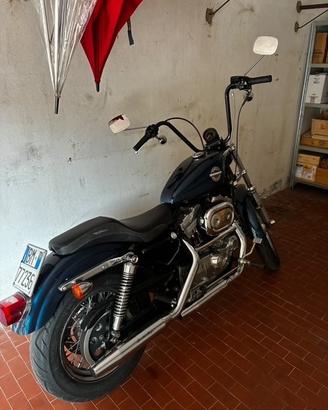 Harley-davidson XL 883 anno 2002