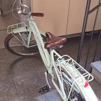 bicicletta da passeggio