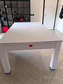 Tavolo da biliardo e Ping pong