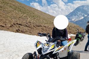 Quad AEON Cobra 400 2022
