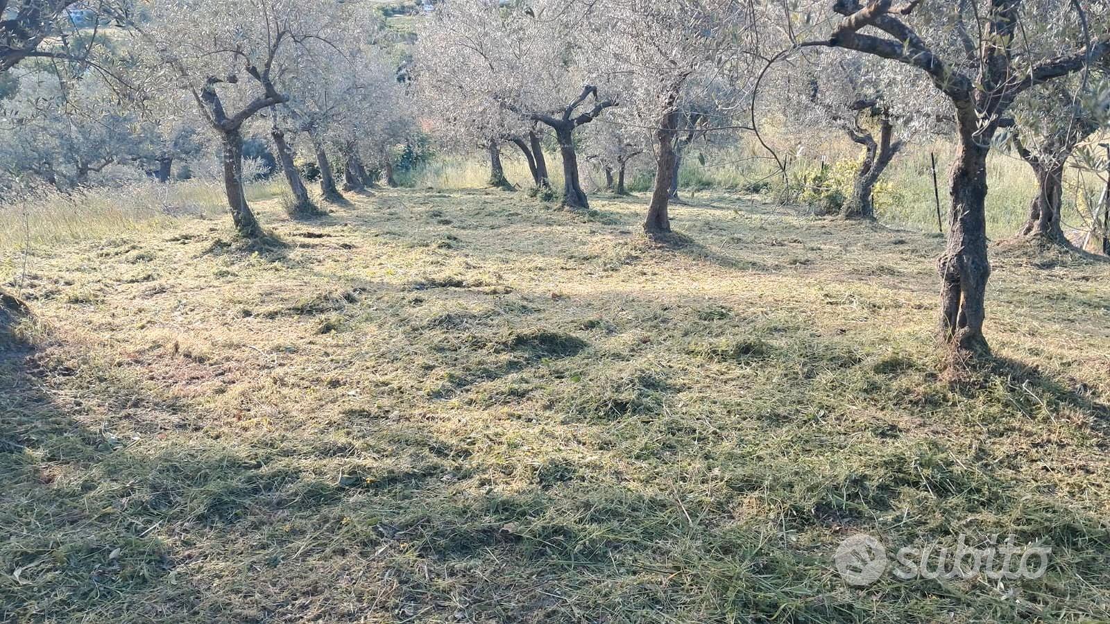 Vendita terreno agricolo - Vista 3