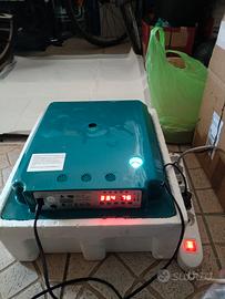 incubatrice uova
