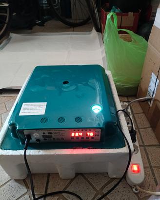 incubatrice uova