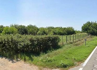 Immobile in asta di 33494 m² a Legnago