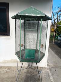 Voliera per uccelli
