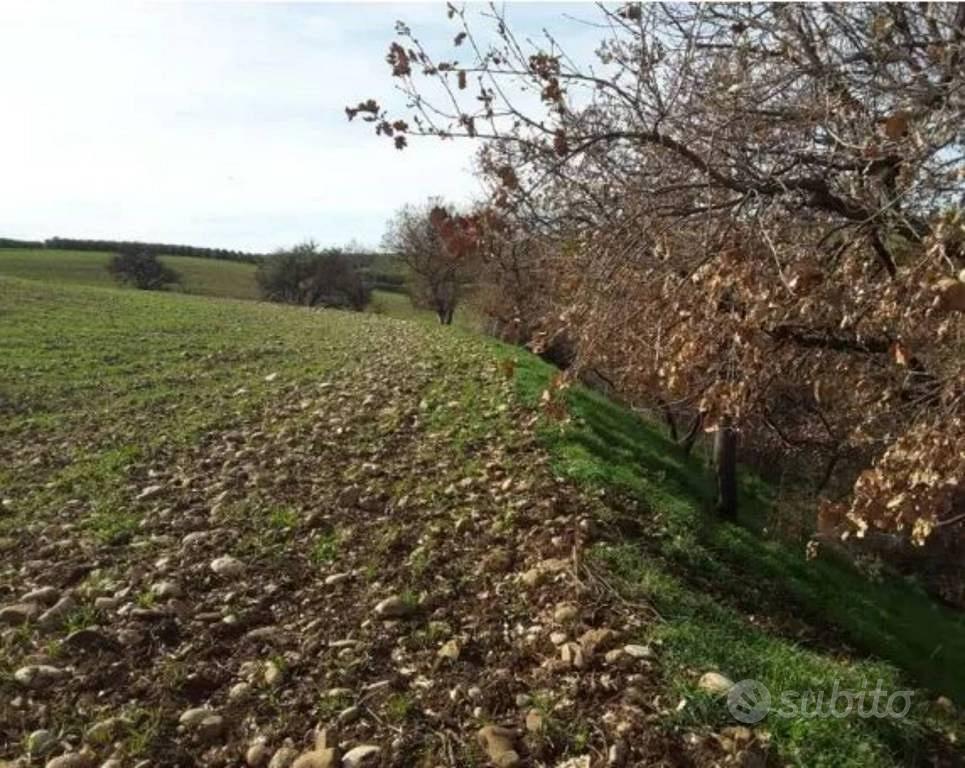 Immobile in asta di 43852 m² a Venosa - Vista 3