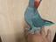 Immagine 4