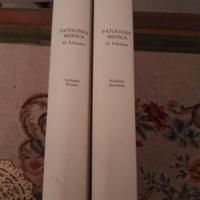 Testo di clinica medica.Un classico.