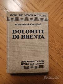 Buscaini, Castiglioni - Dolomiti di Brenta