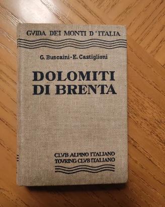 Buscaini, Castiglioni - Dolomiti di Brenta