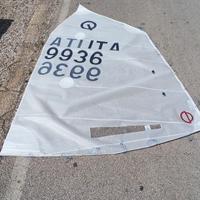 Vela Optimist da regata CD Sails