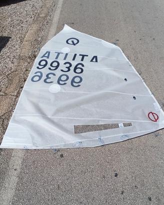 Vela Optimist da regata CD Sails