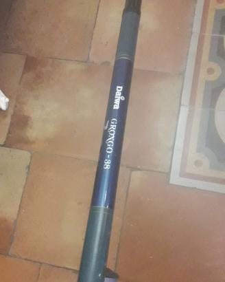 canna da pesca daiwa 