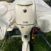 Motore Evinrude e-tec 75 cv del 2009