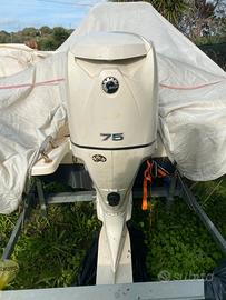 Motore Evinrude e-tec 75 cv del 2009