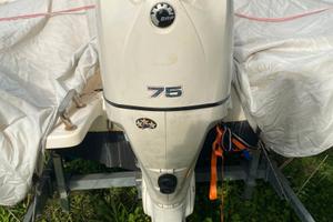 Motore Evinrude e-tec 75 cv del 2009
