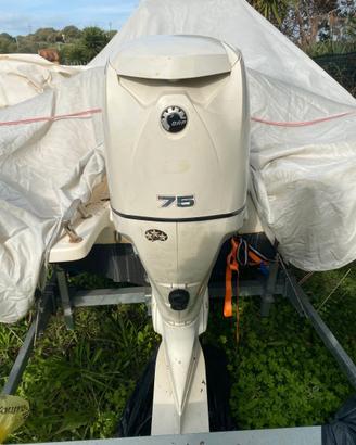 Motore Evinrude e-tec 75 cv del 2009