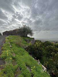 Terreno in contrada buglio 17.000mq