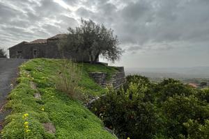 Terreno in contrada buglio 17.000mq