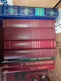 libri vari , romanzi ,classici ,narrativa 