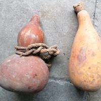 Antiche zucche portavino