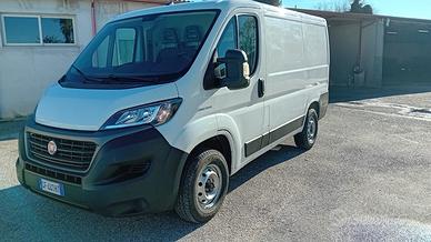 Fiat Ducato Fiat ducato cargo 2.3 mjt-km 89000-202