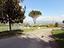 Immagine 21