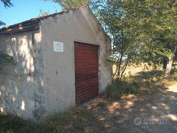 Casa- agricola e terreno