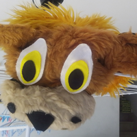 Costume di carnevale Leone