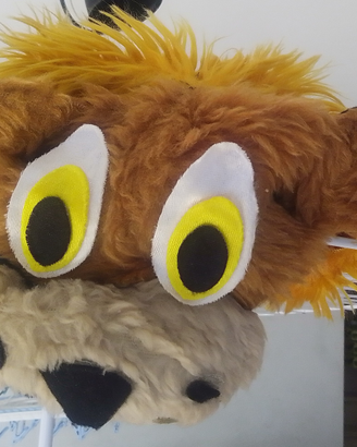 Costume di carnevale Leone