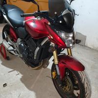 Honda cb600f (Hornet)
